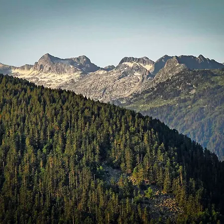 Mont-romies Salardu
